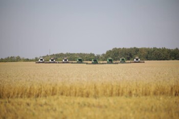 IMG_20260929_190836_794