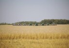 В Западно-Казахстанской области завершена уборка зерновых культур