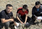 Современное состояние пастбищ в Республике Казахстан