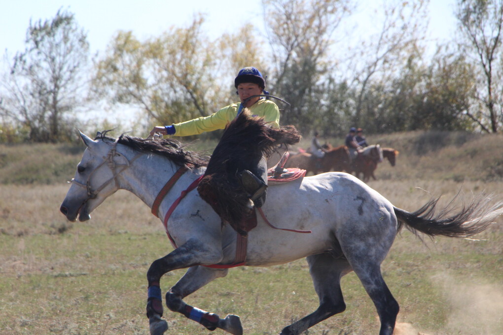 IMG_8107 (1)