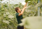 Кәсіпке жол ашқан «Batys AgroHub»