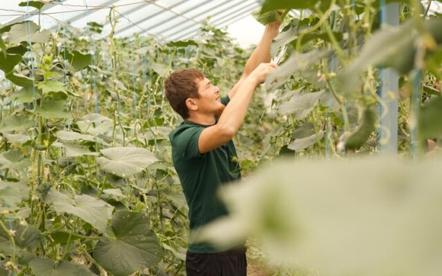 Кәсіпке жол ашқан «Batys AgroHub»