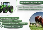 В Бурлинском районе на поддержку сельхозформирований направлено 439,4 млн теңге субсидий
