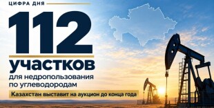 Казахстан до конца года выставит на аукцион 112 участков для недропользования