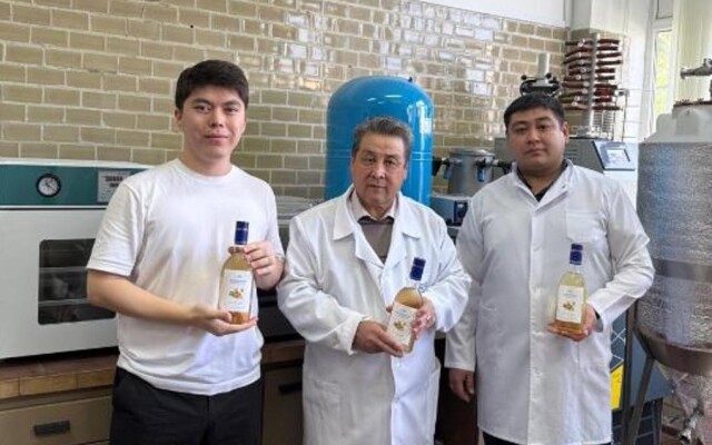 В Казахстане разработали новый фито-напиток на основе мёда и имбиря