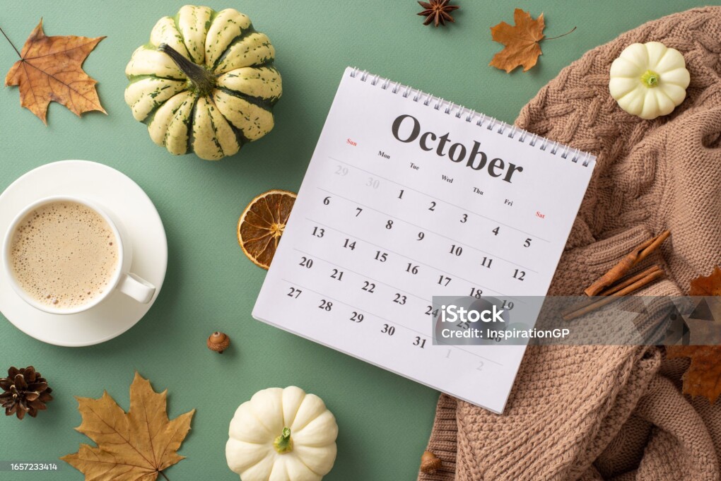 Welcoming autumn spirit. Top view shot featuring calendar with October month, sweater, steaming coffee, raw pattypans, cinnamon sticks, anise and more on green backdrop