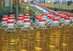 Казахстан намерен увеличить экспорт масложировой продукции до $1,5 млрд к 2028 году
