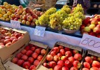 БҚО шаруалары Астана жәрмеңкесіне 11 тонна балық пен 80 мың жұмыртқа жеткізді