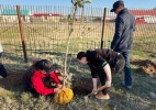 Бөкей ордасының 225 жылдығына орай Сайқын ауылында 225 түп ағаш отырғызылды