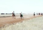 Бөкей даласын дүбірге бөлеген тойдың ат жарысы қорытындыланды