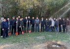 БҚО-да Республика күніне орай көшет отырғызылды