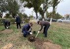 Оралдағы сенбілікте 200-ден астам тал-терек отырғызылды