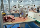 ​В Западно-Казахстанской области ТОО «Кублей» реализует новый инвестпроект на 25 млн долларов