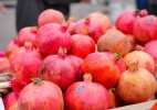 Астанада өңірлерден жеткізілген мың тоннадан астам ауыл шаруашылығы өнімі сатылды