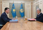 Мемлекет басшысы Вице-Президентті қабылдады