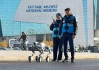 Роботы-собаки начали контролировать безопасность в общественных местах