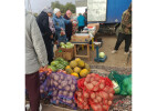 Шыңғырлауда «Дала дәмі» жәрмеңкесі ұйымдастырылды
