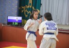 Сырым ауданында дзюдодан анық турнир өтті