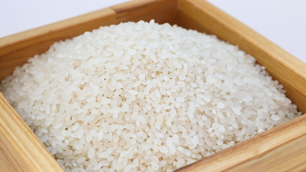 allybally4b-rice-3997767_1920
