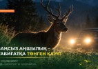 Какая ответственность предусмотрена за незаконную охоту?