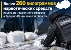 Наркосбыт: цифры и факты