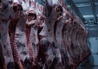 В Казахстане произведено 846,5 тыс. тонн мяса