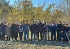 Қараөзенде акция аясында жүз көшет отырғызылды