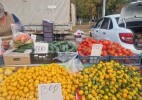 Оралда ауыл шаруашылығы тауарын өндірушілердің кезекті жәрмеңкесі өтті