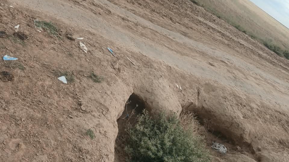 жол (2)