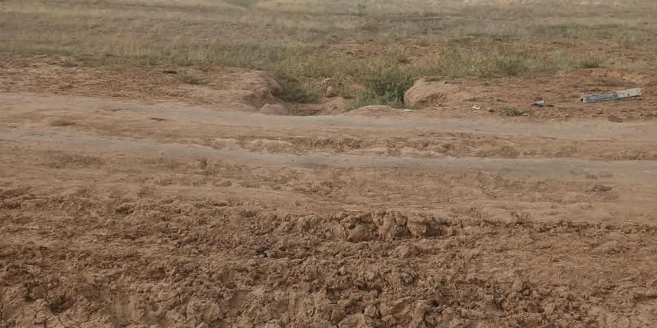 жол (4)